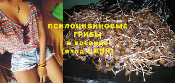 спиды Алексин
