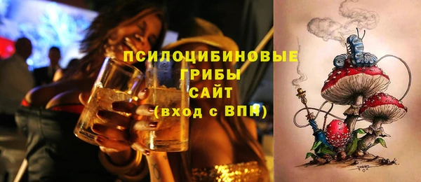 спиды Алексин