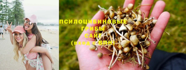 a pvp Алзамай